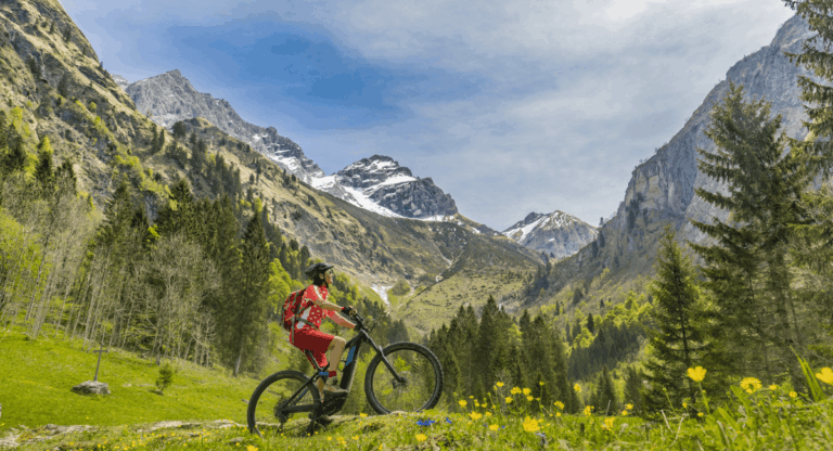 artykuły Why OceanWP Theme is the Best Choice for Your Sale Bikes Website’s Design and Functionality