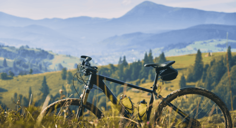 artykuły Using OceanWP Theme’s eCommerce Features for Your Sale Bikes Website